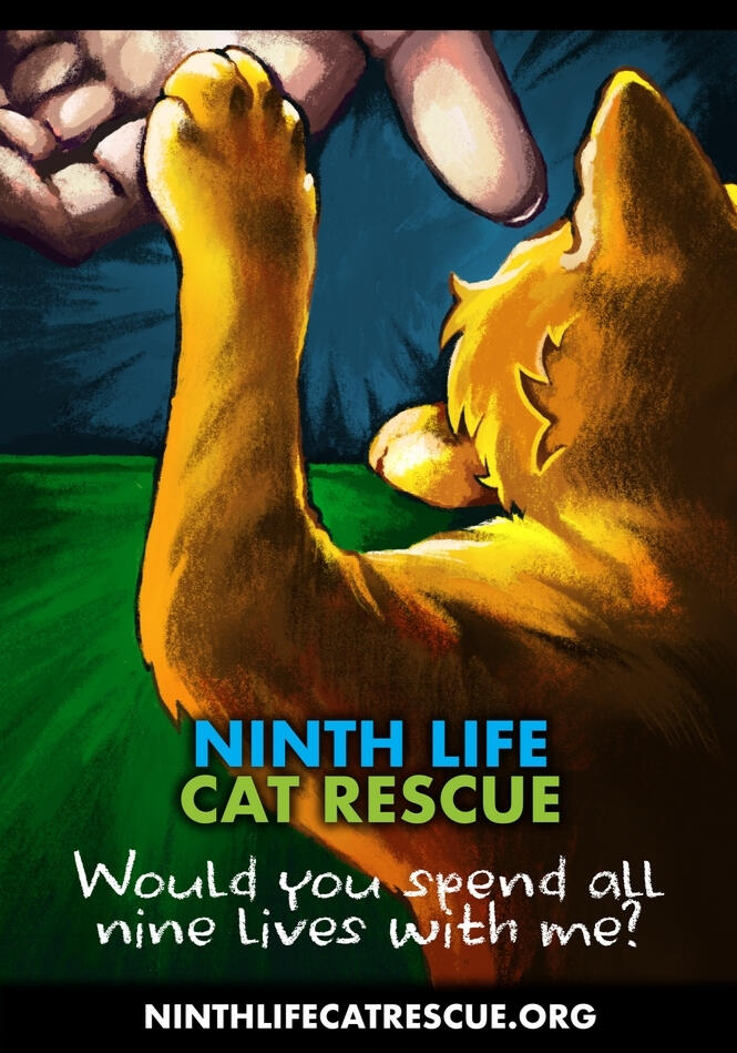 Ninth Life Cat Rescue Promotional Material